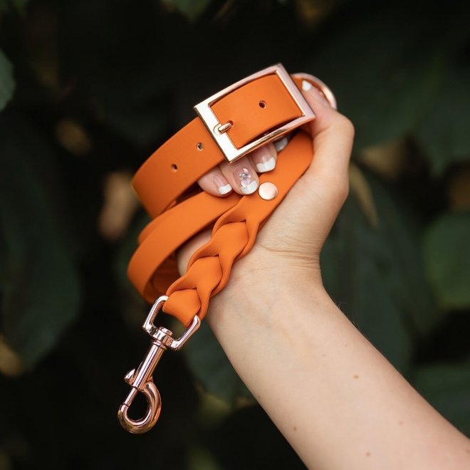 Tyylivoitto Classy Hundehalsbånd Stor Modell Mørk Oransje