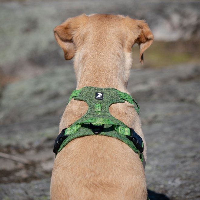 Feel Active Eco Training Hundesele Grøn