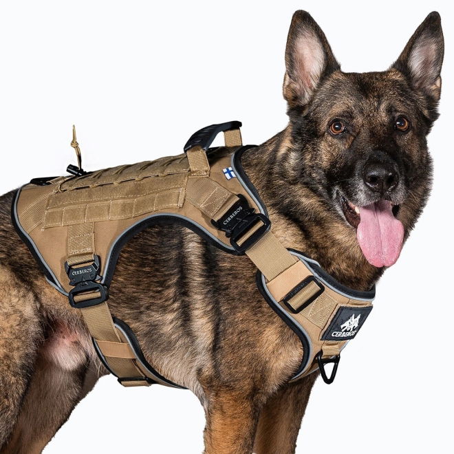 Cerberos Tactical Hundesele Beige