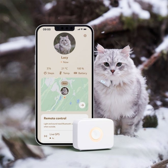Lilcat GPS-Tracker til Katt