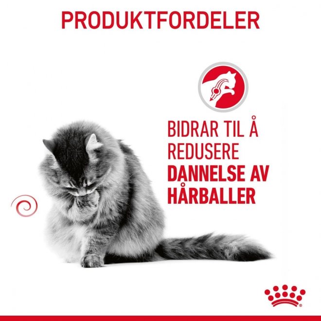 Royal Canin Hairball Care