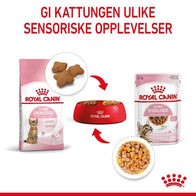 Royal Canin Kitten Sterilised Jelly 12x85 g