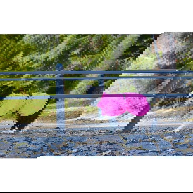 Back on Track Hundenettingdekken Limited Edition Rosa