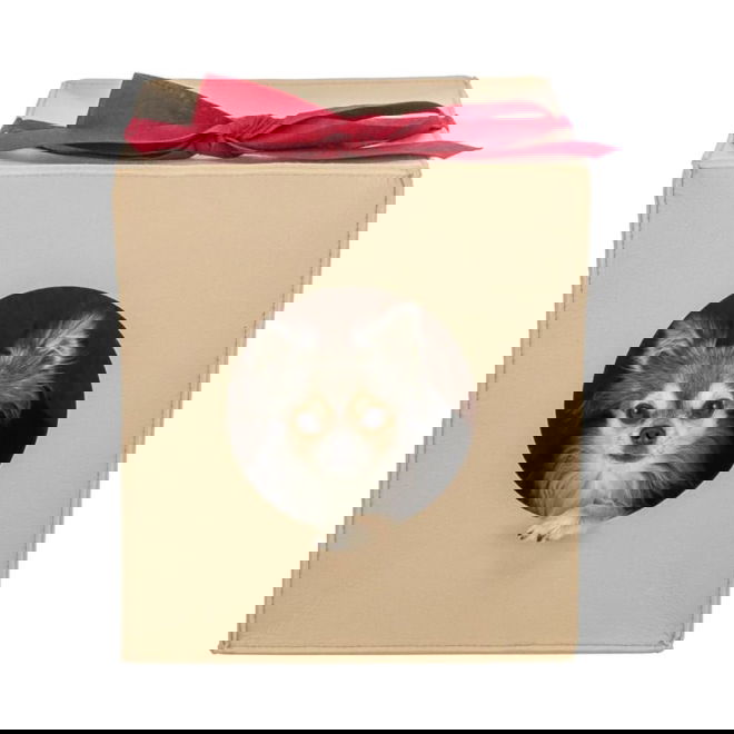 Trixie Xmas Hundkoja/Kattkoja Julklapp i Filt