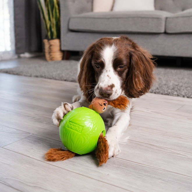 Nina Ottosson Snuffle N’ Treat Ball Aktiveringsboll med Ekorrar Small