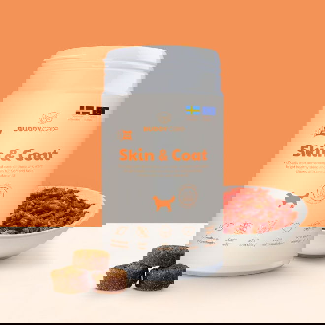 Buddy Care Skin & Coat 150 g