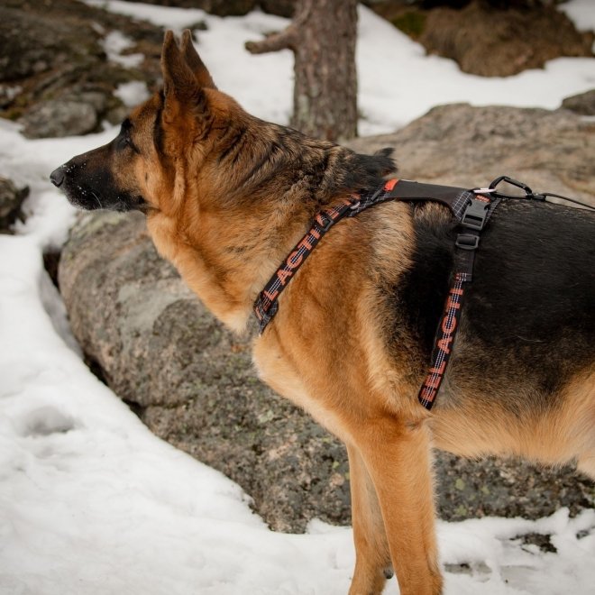 Feel Active Outdoor Hundsele med Lomme Svart