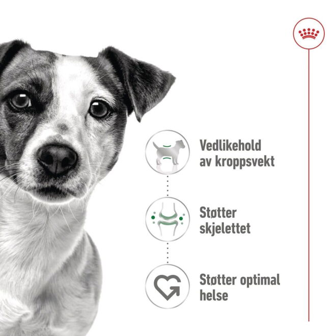 Royal Canin Mini Adult våtfôr (12x85g)