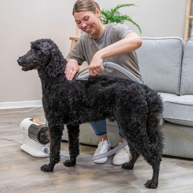 Trixie Kombinerad Klippemaskin og Støvsuger til Hund