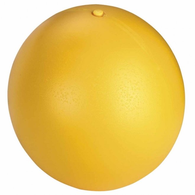 Kerbl Ball til Hund Hard Plast 30 cm