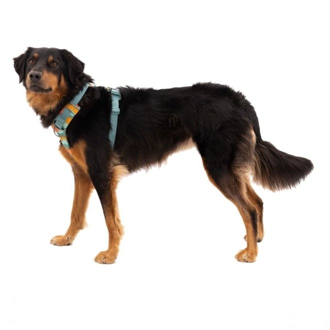 Ruffwear Front Range Hundesele Grønn/Oransje