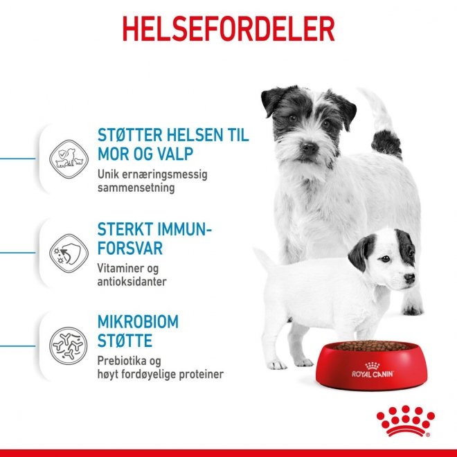 Royal Canin Mini Starter Mother & Babydog