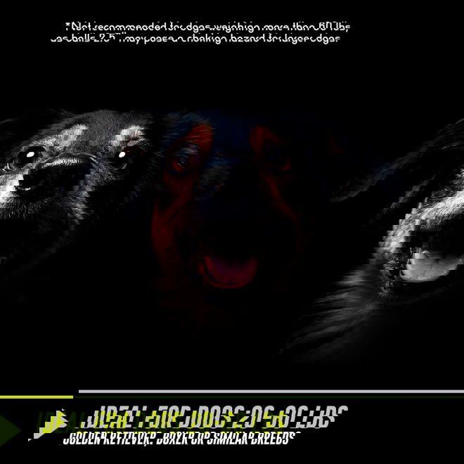 Hyper Pet K9 Kannon (GEN II) Ballkaster
