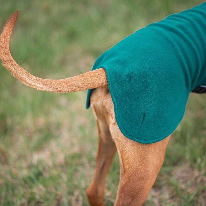 Pomppa Jumppa Hundedekken Blågrønn