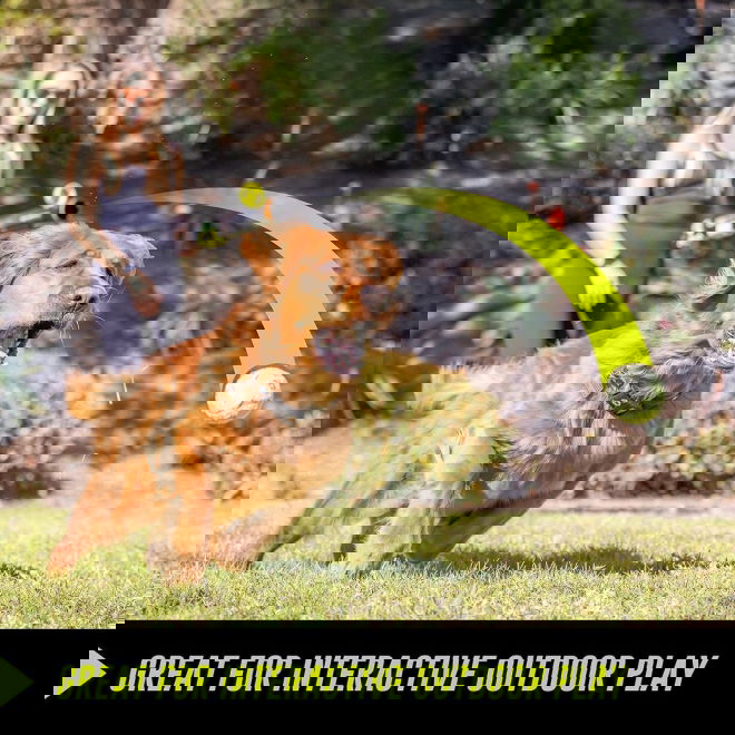Hyper Pet K9 Kannon (GEN II) Ballkaster