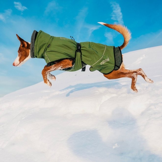 Rukka Warmup 2.0 Hundedekke Grønn