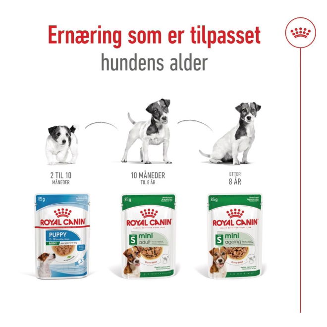 Royal Canin Mini Adult våtfôr (12x85g)