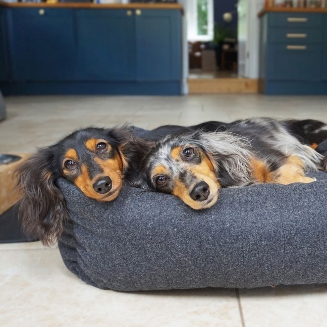 Rosewood Hundeseng i Filt med Memory Foam Mørk Grå