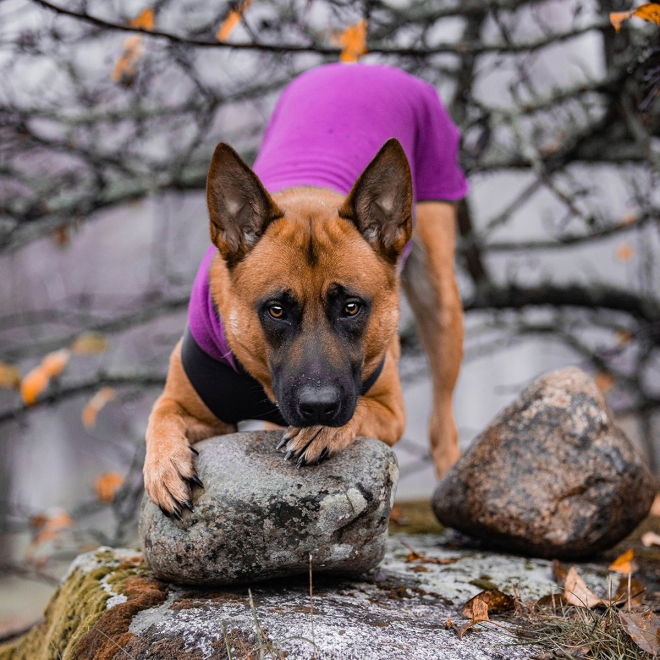 Pomppa Jumppa Fleecetrøye Hund Lilla