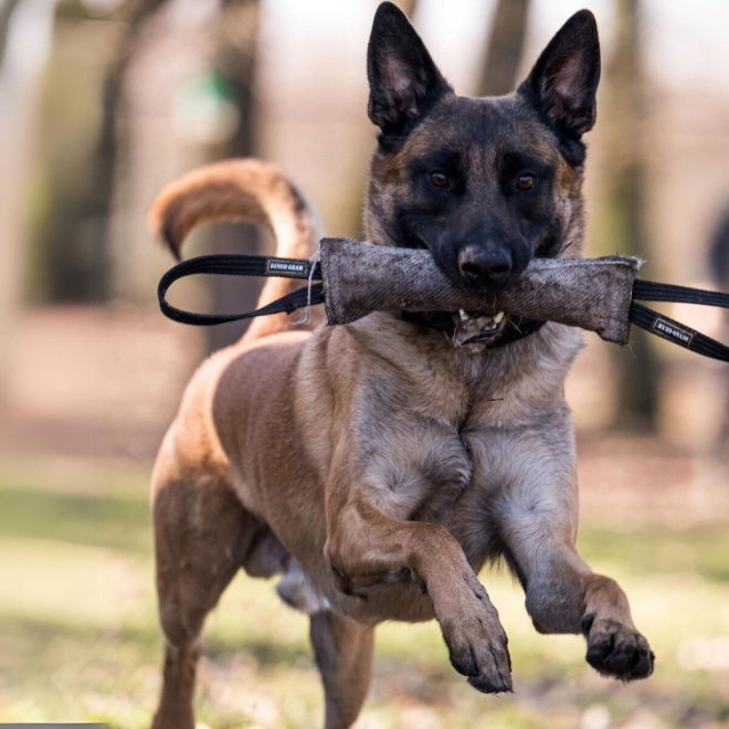 Dingo Gear Bitepølser i Jute med 2 Håndtak 40 cm