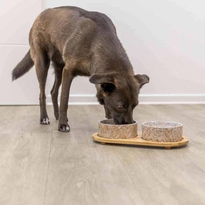 Trixie Kombinerad Mat & Vattenskål med Bricka