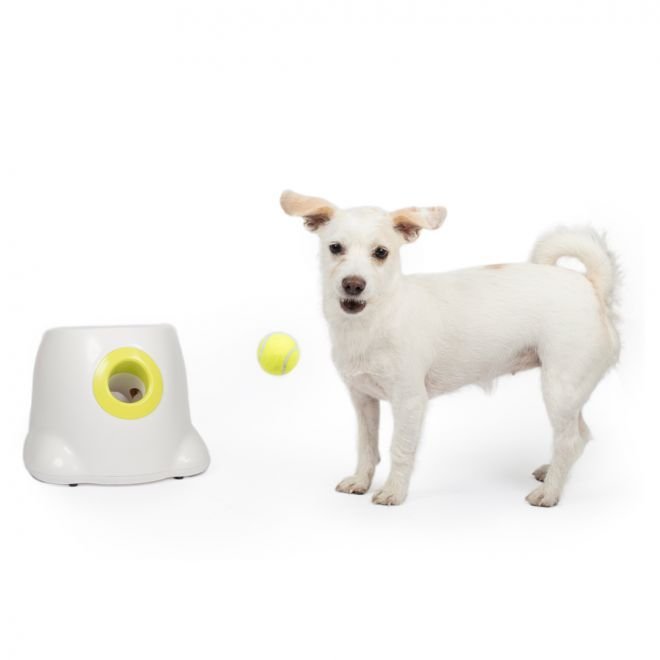All For Paws HyperFetch Ballkaster Mini