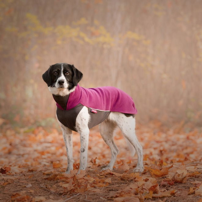 Pomppa Jumppa Fleecetrøye Hund Lilla