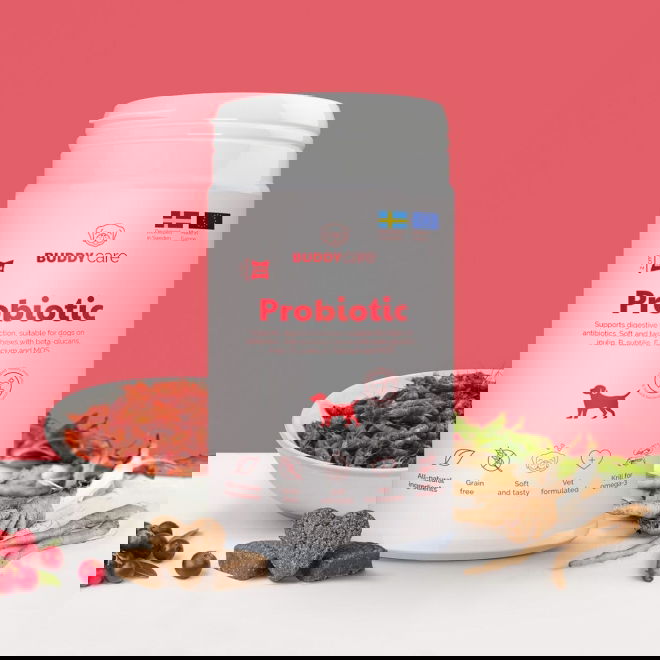BuddyCare Probiotic 150 g