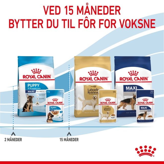 Royal Canin Maxi Puppy in Gravy(10x140g)