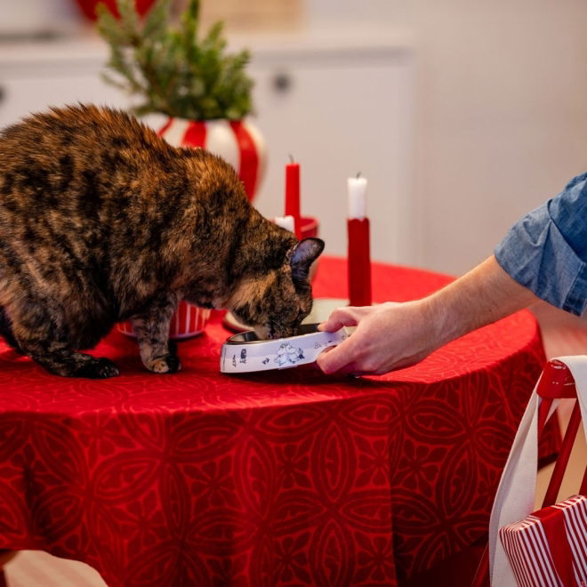 Moomin for Pets Matskål till Katt Vinter