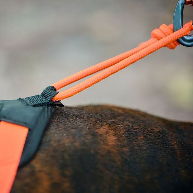 Non-Stop Dogwear Rush Hundsele Orange