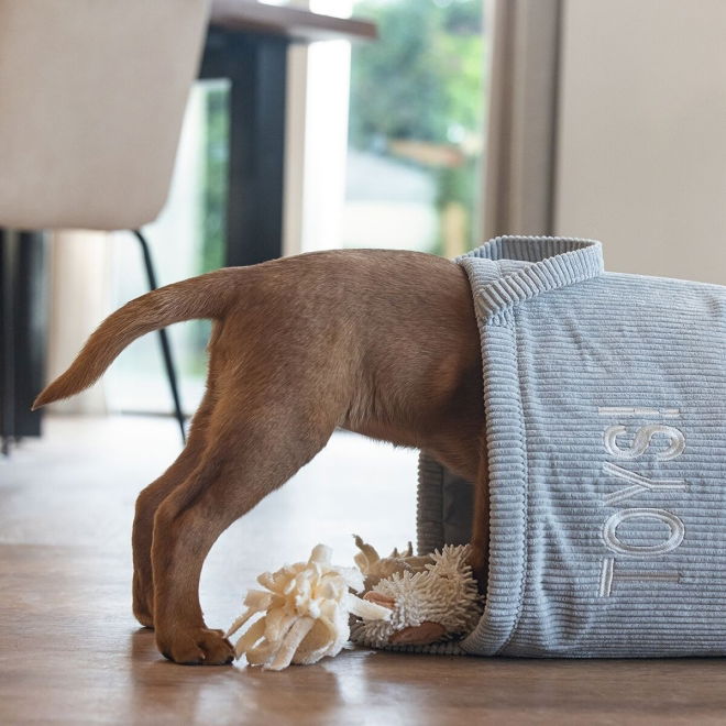 Beeztees Lekekurv til Hund Grå