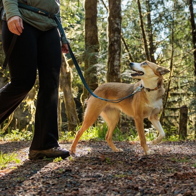 Ruffwear Roamer Hundekobbel Grønn