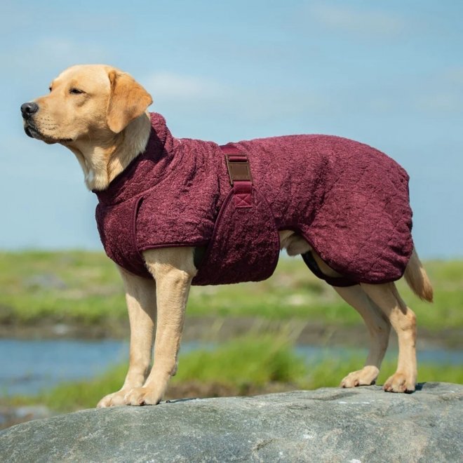 Siccaro Smart Badekåpe til Hund Burgunder