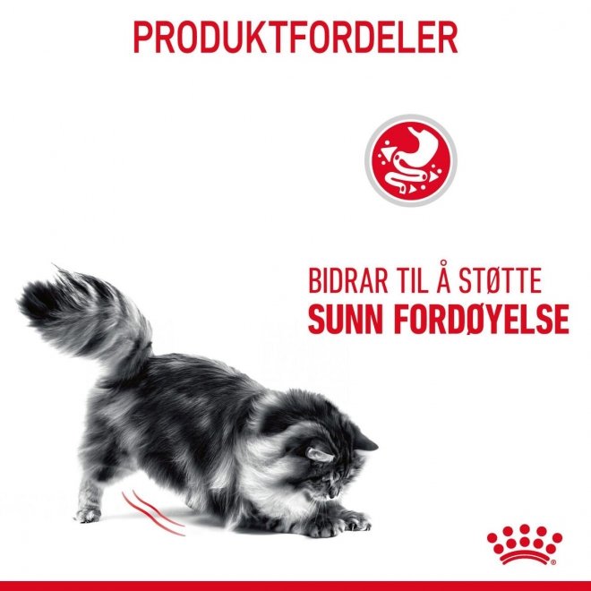 Royal Canin Digestive Care