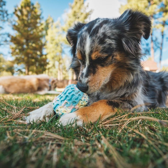 Ruffwear Morel Aktiveringsleke til Hund