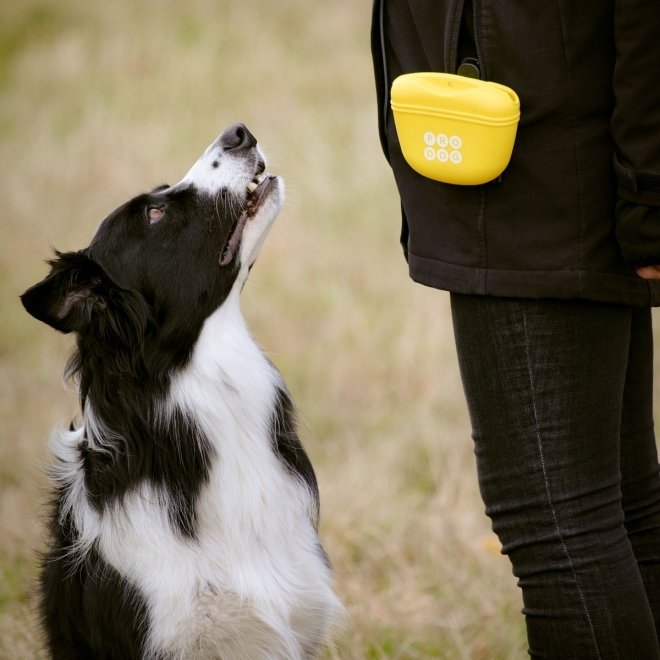 Pro Dog Godteriveske i Silikon Gul