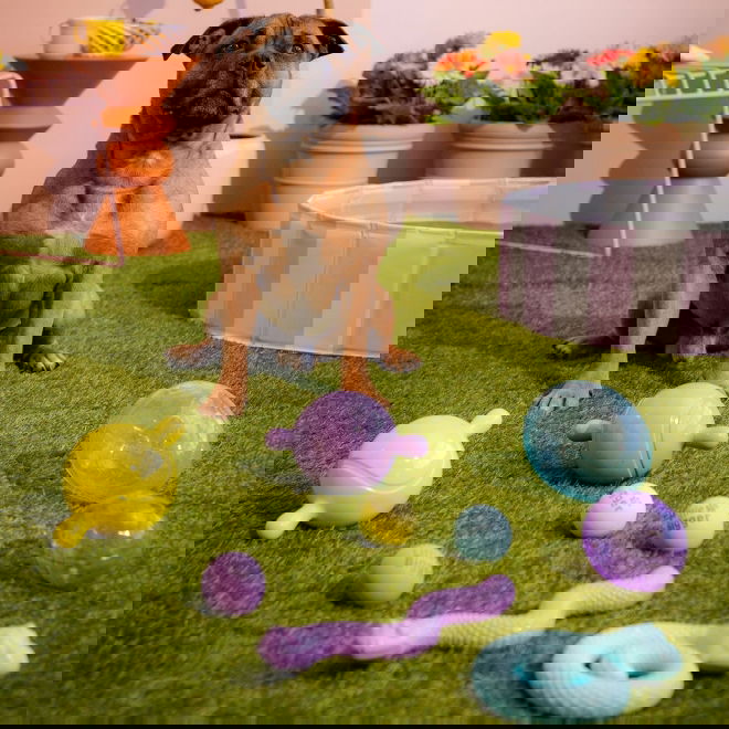 Little&Bigger HotSummer TPR-Egg Lilla M