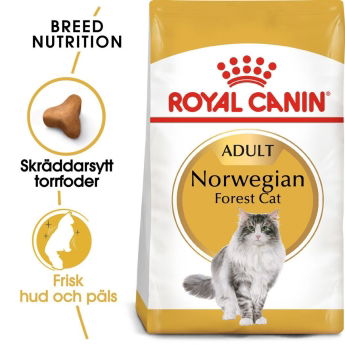 Royal Canin Norsk Skogkatt