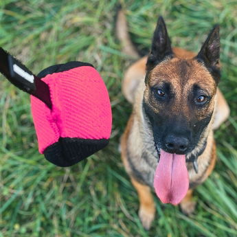 Dingo Gear Mjuk Träningsboll med Snöre 9 cm