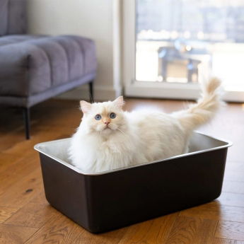 Quapas! Kattlåda i Rostfritt Stål Svart