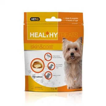 Healthy Treats Skin & Coat 70 g