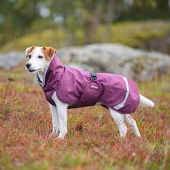 Pomppa Perus Vintertäcke för Sele Lila