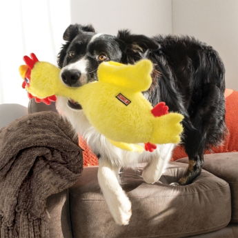 KONG Scruffs Mjukisdjur till Hund  med Pipljud Kyckling M/L