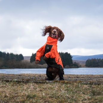 Non-stop Dogwear Fjord Hundoverall Orange