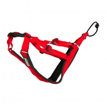 Neewa Sled Dog X-Back