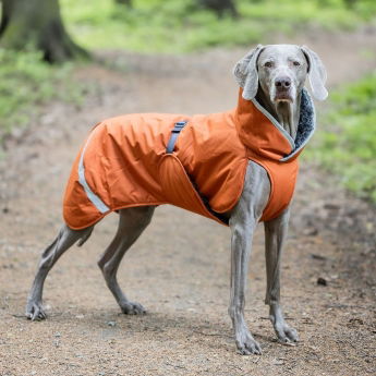 Pomppa Toppa Vintertäcke Hund Orange