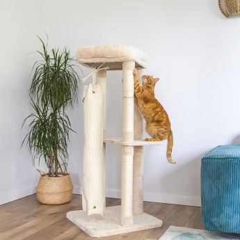 Quapas! Klösträd med Klättersäck Beige 136 cm