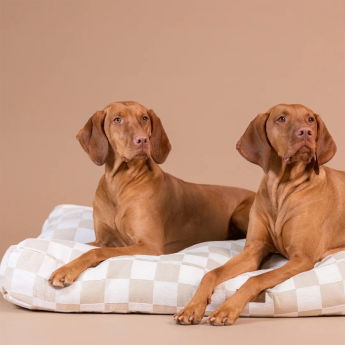 PAIKKA Check Hundmadrass Rutig Beige