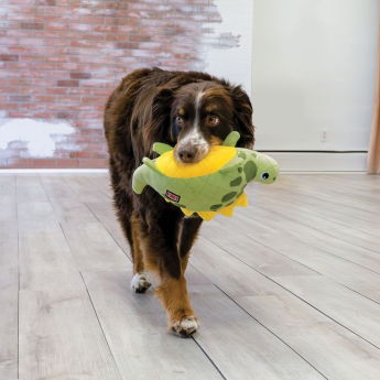 KONG Dynos Roars Mjukisdjur till Hund Dinosaurie Grön M/L